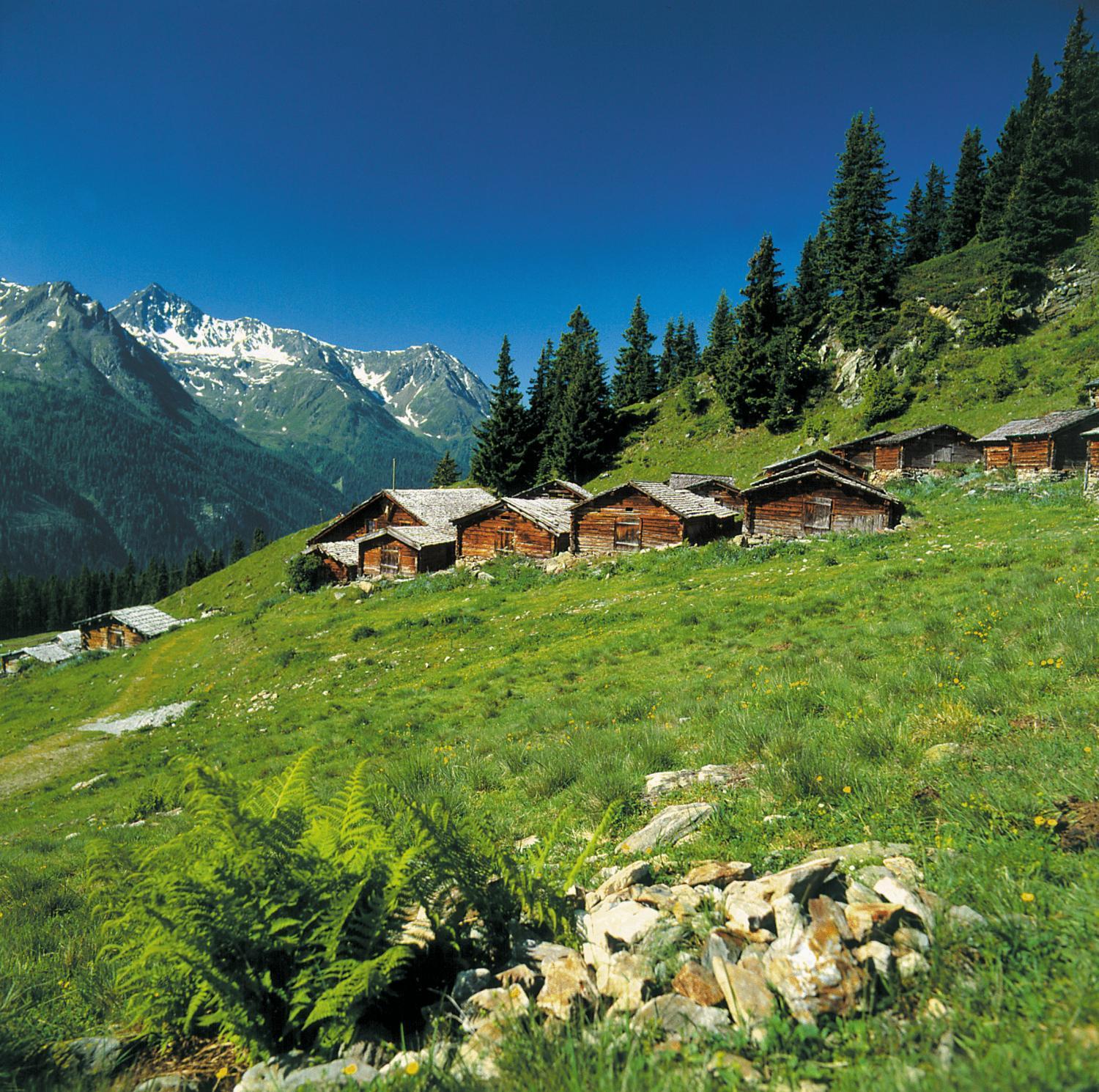Hotel Alpenkoenigin - Sommer Silvretta Premium Card Inklusive See Exteriör bild
